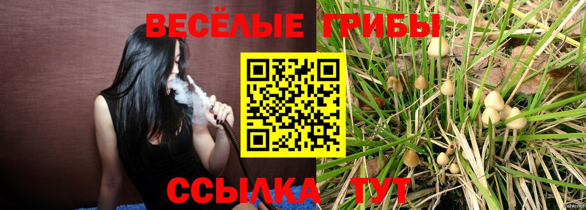 Псилоцибиновые грибы Magic Shrooms  Вход с VPN  Бирск 