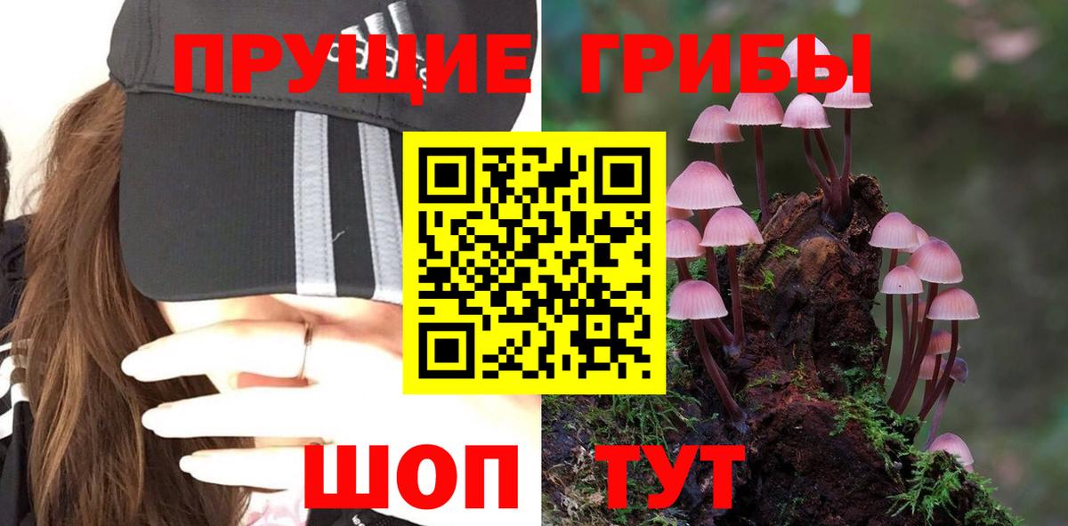 Псилоцибиновые грибы Magic Shrooms Бирск